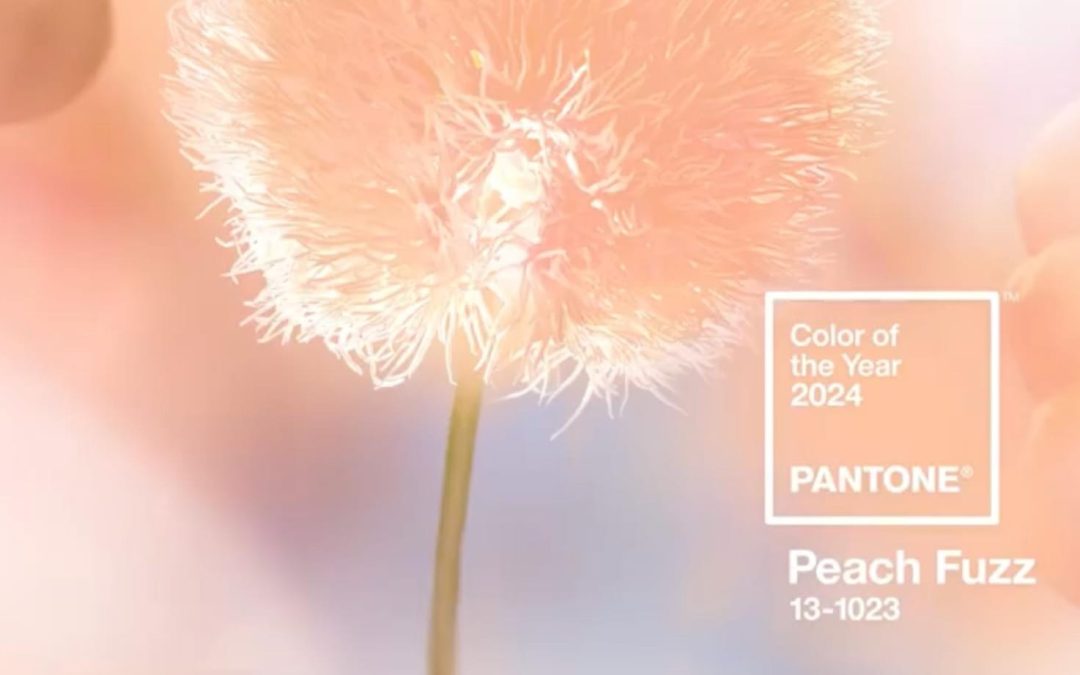 5 Ideas para integrar el color pantone 2024 en tu hogar